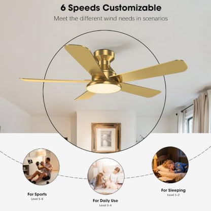 Ceiling Fans with Lights