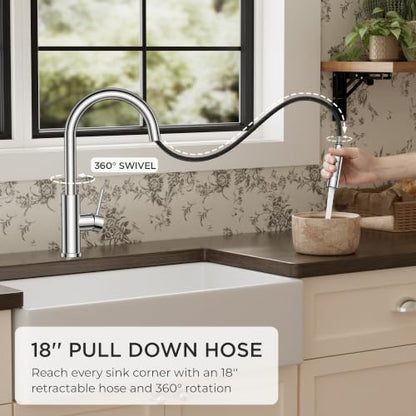 Kitchen Faucet with Pull Down Sprayer