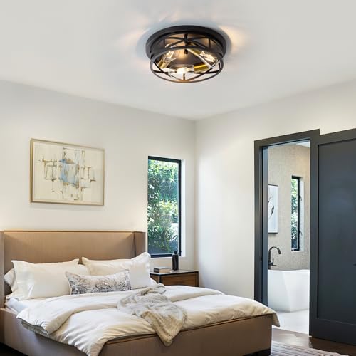 Black Ceiling Light Fixture with Gold Base