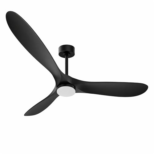 Modern Propeller Ceiling Fan with Light