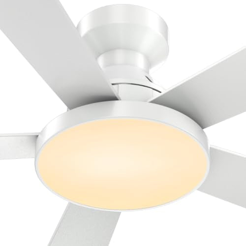 Ceiling Fans with Lights