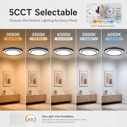 20 Inch LED Flush Mount Ceiling Light (Black / 20Inch)