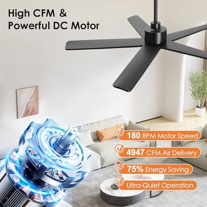 5 Blade Ceiling Fan without Lights