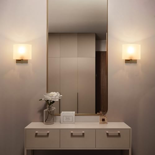 Modern Acrylic Shade Wall Light Fixture