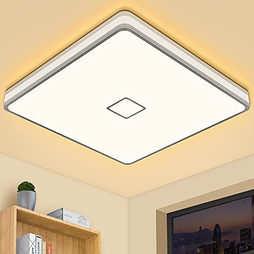 LED Ceiling Light
