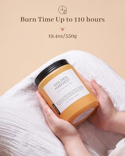 Goldenharvest Scented Candle Fruit Grain Fragrance for Autumn Home (Large Jar / Golden Harvest)