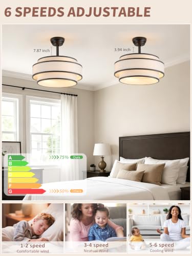 Boho Caged Fandelier Ceiling Fans with Lights