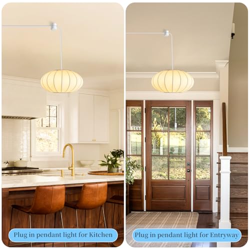 Plug in Lantern Pendant Light