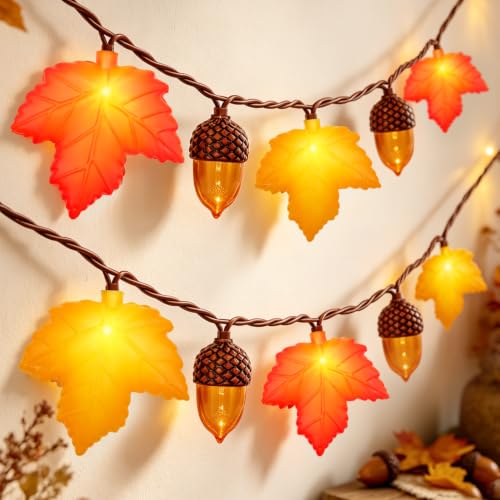 Holiday Decorations Lights