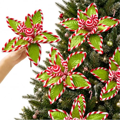 6 PCS Green Candy Cane Poinsettia (Green Whimsy)