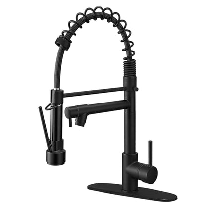 Kitchen Sink Faucet