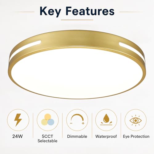 Close to Ceiling Light VC10