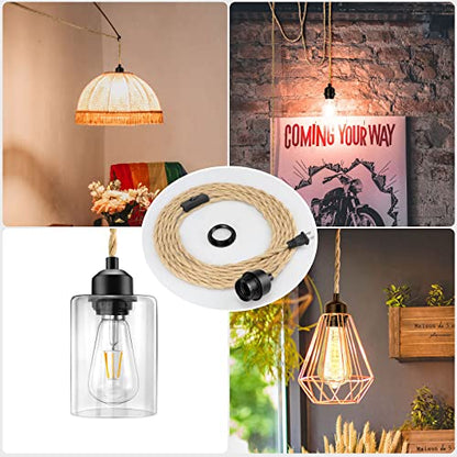 Plug in Hanging Light Kit