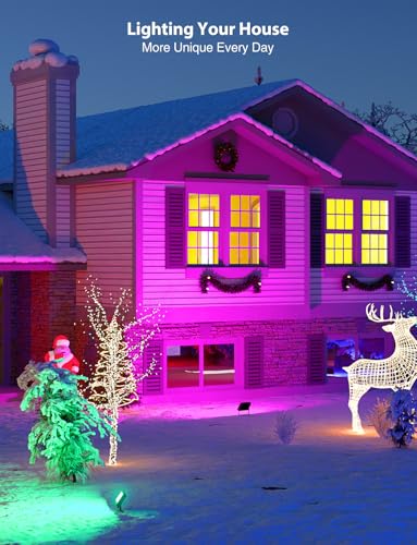 RGB Flood Light 25W LED