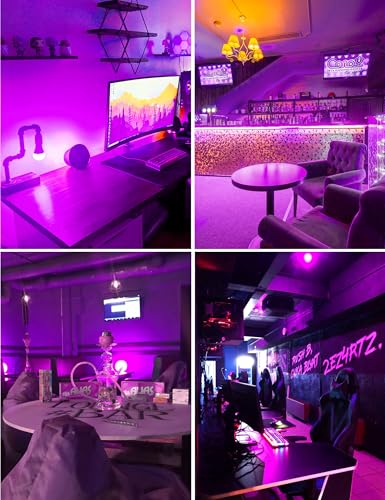 A19 9W Colored Light Bulbs