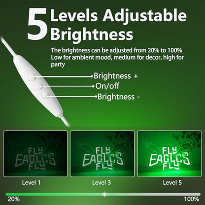 Eagle Team Chant Neon Signs for Wall Decor Team Chant Neon Lights for Bedroom Led Signs Suitable for Dormitory Man Cave Christmas Gift (Eagles 002)