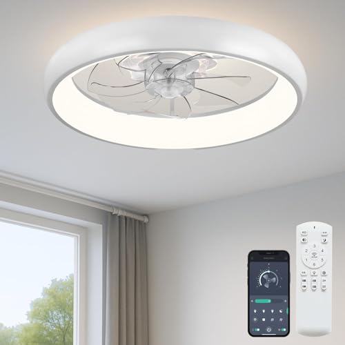 Ceiling Fan with Light and Remote