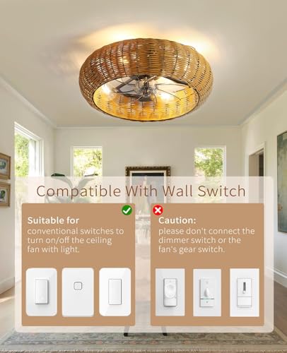Low Profile Ceiling Fan with Light