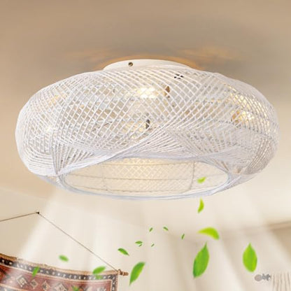 ceiling fan