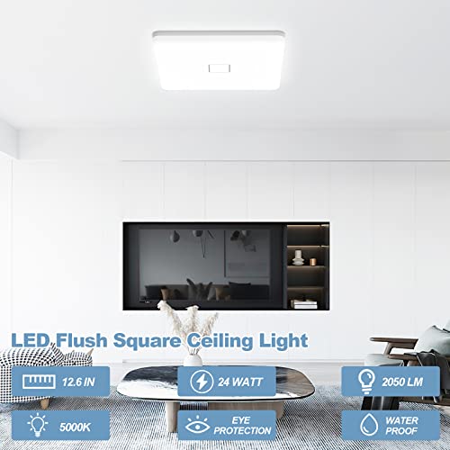 LED Ceiling Light
