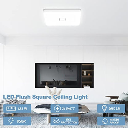 LED Ceiling Light