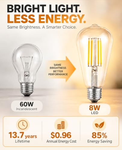 ST19 Vintage LED Edison Light Bulbs