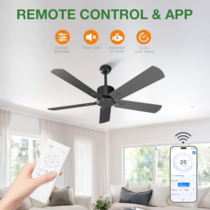 Black Ceiling Fan