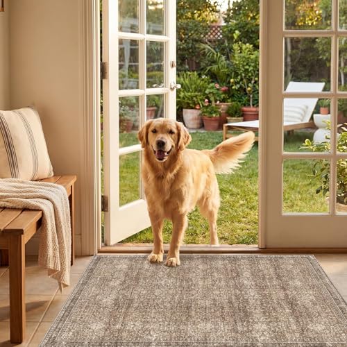 2x3 Area Rugs (Dark Brown / 2' x 3' (Rectangular))