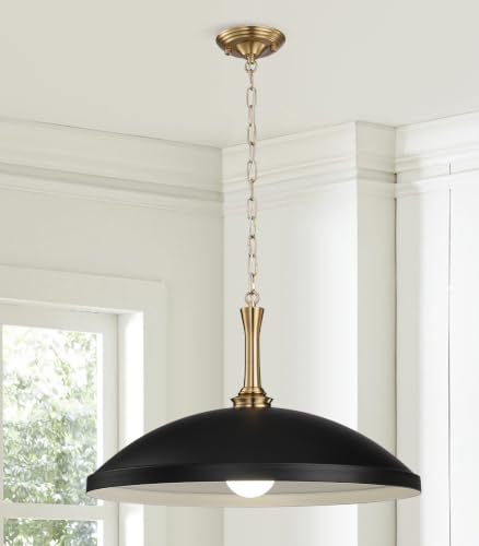 1 Light Pendant Light Fixture