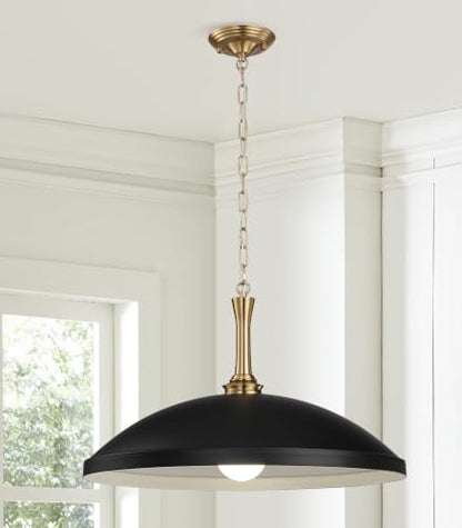 1 Light Pendant Light Fixture