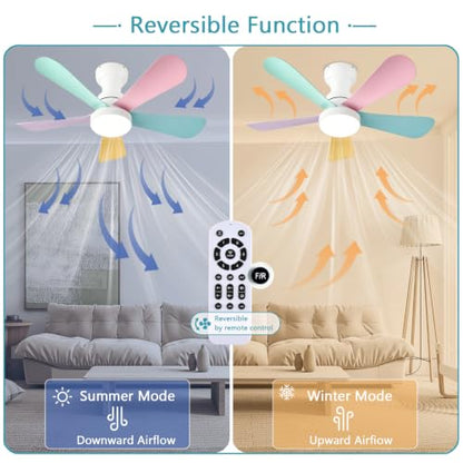 Ceiling Fans with Lights
