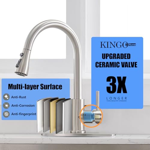 Kitchen Faucets with Pull Down Sprayer (Silver)