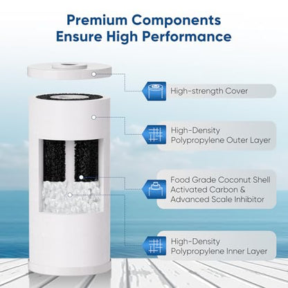 10" x 4.5" Whole House Scale Inhibitor & Sediment Filter Compound for Well