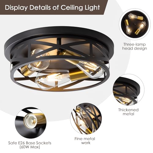 Black Ceiling Light Fixture with Gold Base