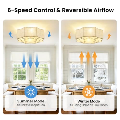 Boho Ceiling Fan with Light