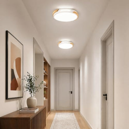 Modern Wood Dimmable Ceiling Light