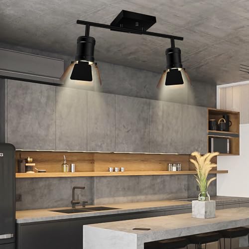 Track Lighting Fixtures Ceiling
