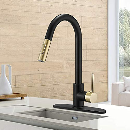 High Arc Single Handle Kitchen Sink Faucet With Pull Out Sprayer