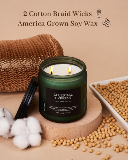 Celestial Cypress Scented Candles for Home (Celestial Cypress / Medium Jar)
