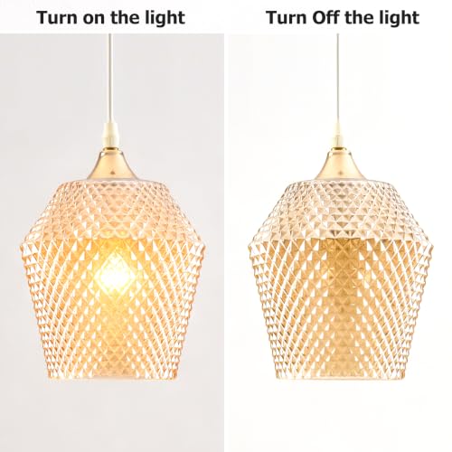 2Pcs Small Glass Lamp Shades