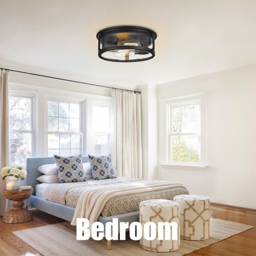 2 Light Flush Mount Ceiling Light Fixtures