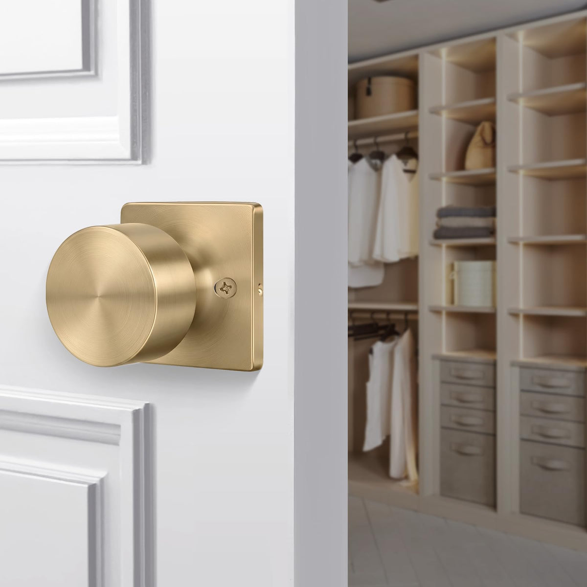 Champagne Bronze Dummy Door Knobs (Champagne Bronze)