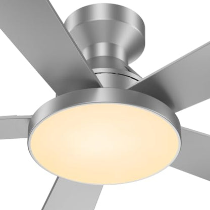 Ceiling Fans with Lights