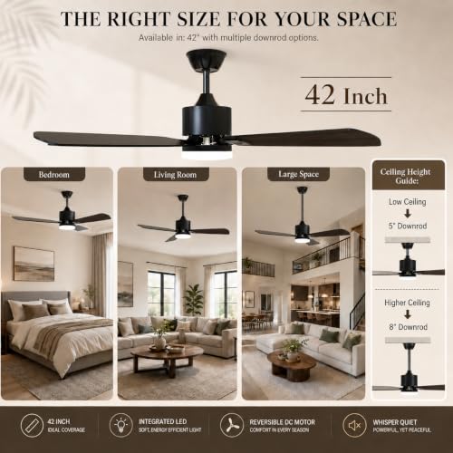 Ceiling Fans with Lights