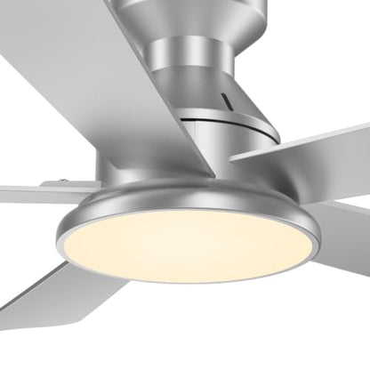 Ceiling Fans with Lights