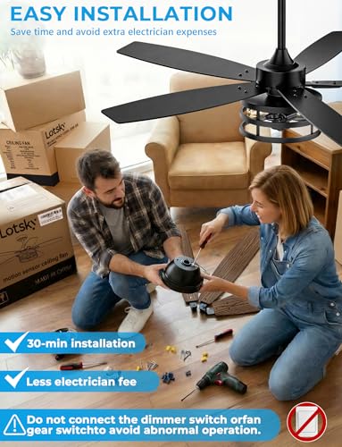 Outdoor Ceiling Fans with Light