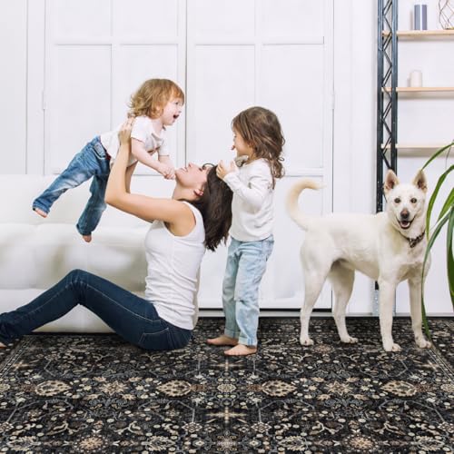 Washable Area Rug 6×9 for Living Room (Dark Gray / 6' x 9' (Rectangular))