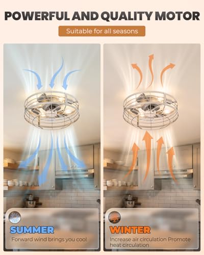 Black Ceiling Fan with Light