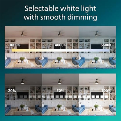 Indoor Ceiling Fan with Bright LED Light