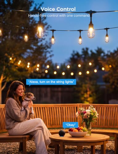 Smart Outdoor String Lights